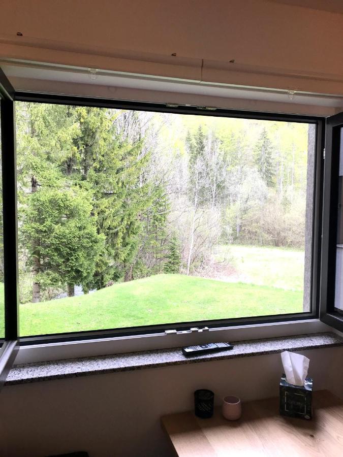 Apartment Loyd, Kranjska Gora - Studio Exterior photo